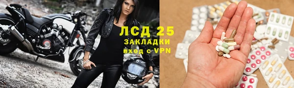 ПСИЛОЦИБИНОВЫЕ ГРИБЫ Богородицк