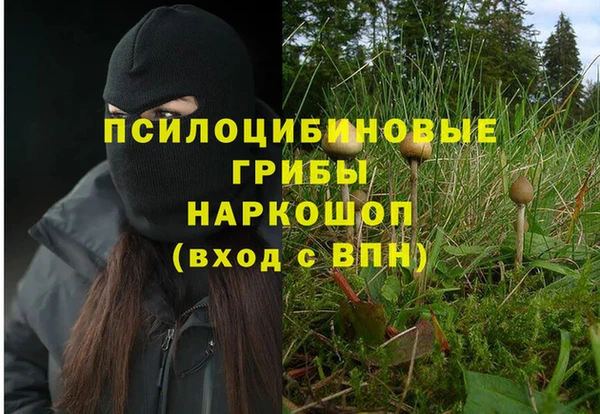 синтетический гашиш Богданович