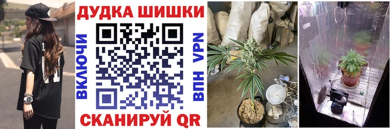 Конопля ГИДРОПОН Михайлов